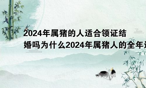 2024年属猪的人适合领证结婚吗为什么2024年属猪人的全年运势详解