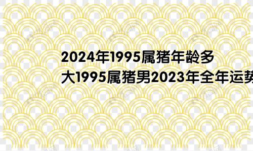 2024年1995属猪年龄多大1995属猪男2023年全年运势