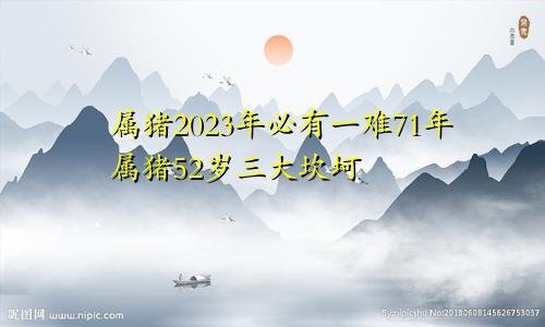 属猪2023年必有一难71年属猪52岁三大坎坷