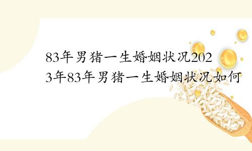 83年男猪一生婚姻状况2023年83年男猪一生婚姻状况如何