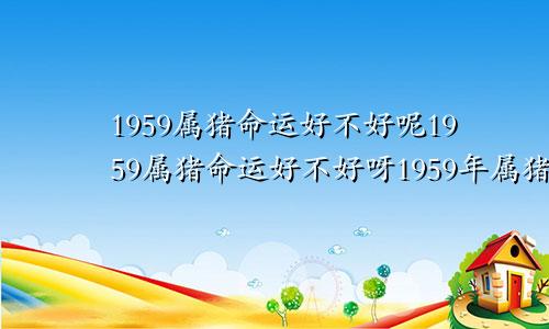 1959属猪命运好不好呢1959属猪命运好不好呀1959年属猪命运