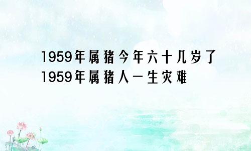 1959年属猪今年六十几岁了1959年属猪人一生灾难