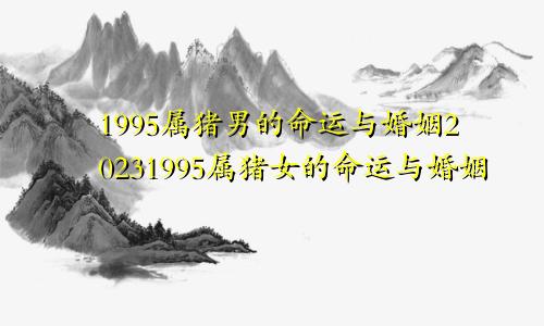 1995属猪男的命运与婚姻20231995属猪女的命运与婚姻