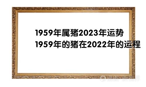 1959年属猪2023年运势1959年的猪在2022年的运程