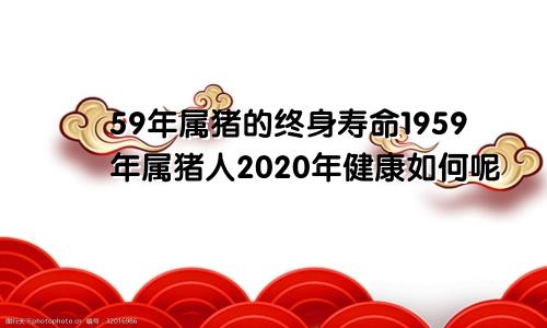 59年属猪的终身寿命1959年属猪人2020年健康如何呢