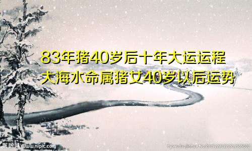 83年猪40岁后十年大运运程大海水命属猪女40岁以后运势