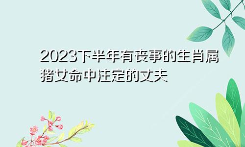 2023下半年有丧事的生肖属猪女命中注定的丈夫