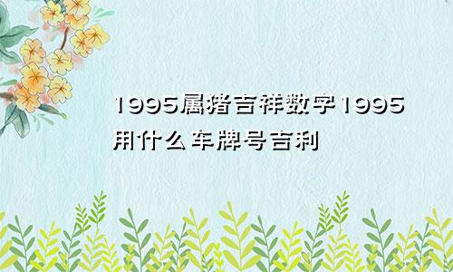 1995属猪吉祥数字1995用什么车牌号吉利