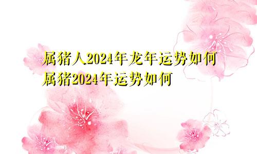 属猪人2024年龙年运势如何属猪2024年运势如何