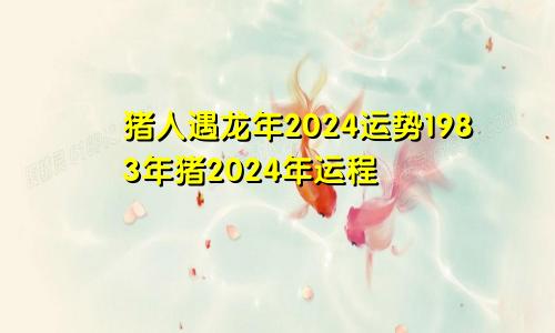 猪人遇龙年2024运势1983年猪2024年运程