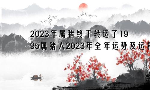 2023年属猪终于转运了1995属猪人2023年全年运势及运程