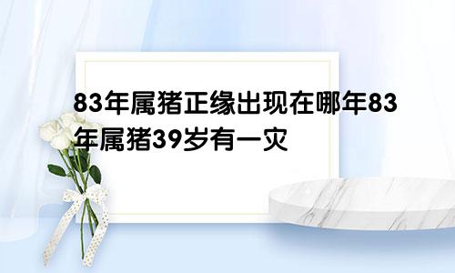 83年属猪正缘出现在哪年83年属猪39岁有一灾