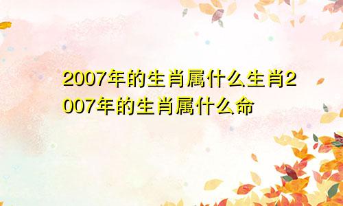 2007年的生肖属什么生肖2007年的生肖属什么命