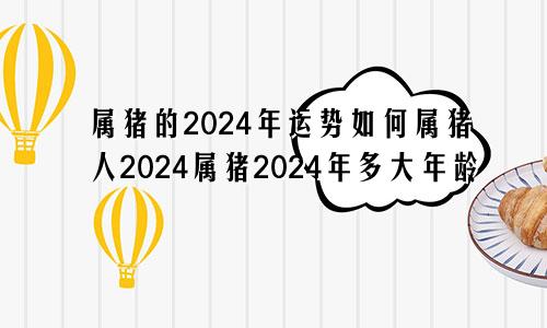 属猪的2024年运势如何属猪人2024属猪2024年多大年龄