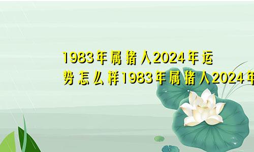 1983年属猪人2024年运势怎么样1983年属猪人2024年运势及运程女每