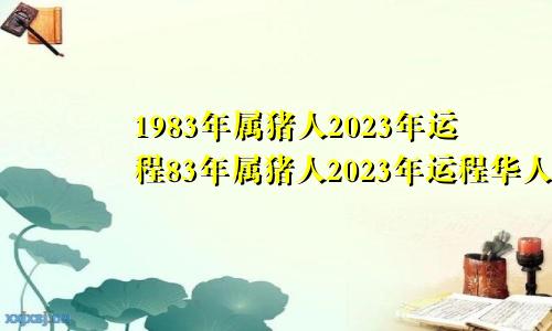 1983年属猪人2023年运程83年属猪人2023年运程华人网