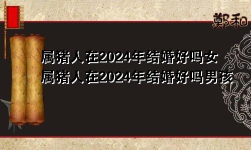 属猪人在2024年结婚好吗女属猪人在2024年结婚好吗男孩