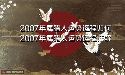 2007年属猪人运势运程如何2007年属猪人运势运程详解