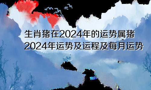 生肖猪在2024年的运势属猪2024年运势及运程及每月运势