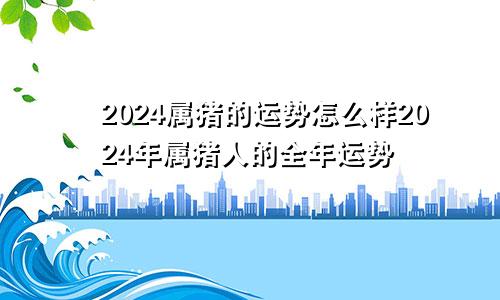 2024属猪的运势怎么样2024年属猪人的全年运势