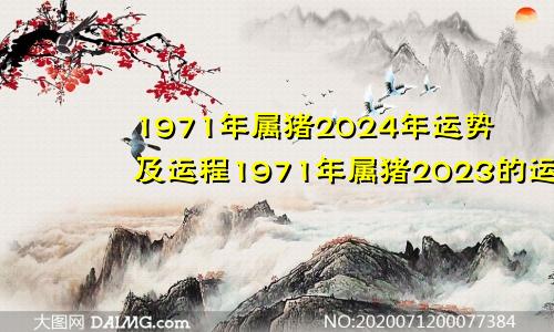 1971年属猪2024年运势及运程1971年属猪2023的运势