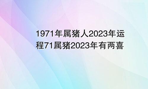 1971年属猪人2023年运程71属猪2023年有两喜