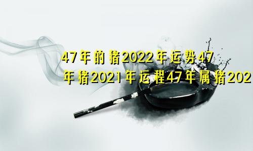 47年的猪2022年运势47年猪2021年运程47年属猪2021年运势