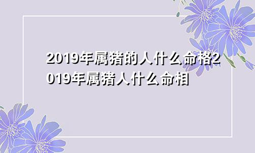 2019年属猪的人什么命格2019年属猪人什么命相