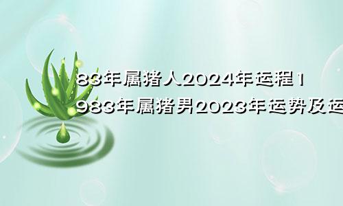 83年属猪人2024年运程1983年属猪男2023年运势及运程每月运程