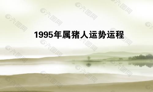 1995年属猪人运势运程