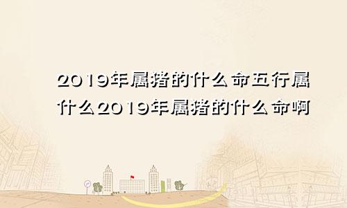 2019年属猪的什么命五行属什么2019年属猪的什么命啊