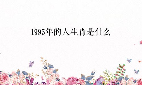 1995年的人生肖是什么