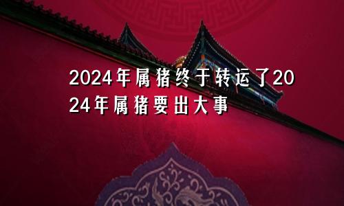 2024年属猪终于转运了2024年属猪要出大事