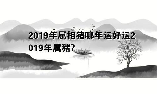 2019年属相猪哪年运好运2019年属猪?