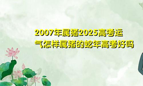 2007年属猪2025高考运气怎样属猪的蛇年高考好吗