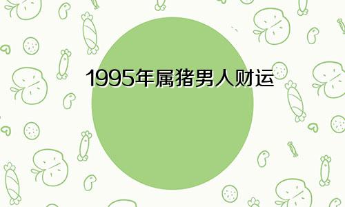 1995年属猪男人财运