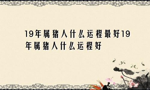 19年属猪人什么运程最好19年属猪人什么运程好