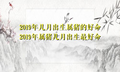 2019年几月出生属猪的好命2019年属猪几月出生最好命