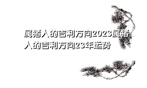 属猪人的吉利方向2023属猪人的吉利方向23年运势