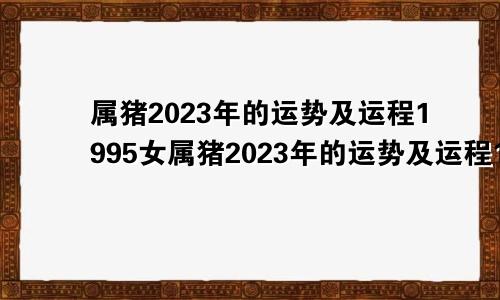 属猪2023年的运势及运程1995女属猪2023年的运势及运程1995男