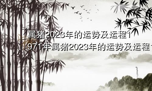 属猪2023年的运势及运程1971年属猪2023年的运势及运程1995