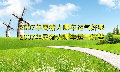 2007年属猪人哪年运气好呢2007年属猪人哪年运气好些