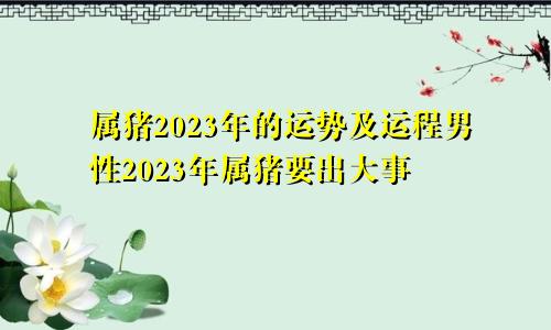 属猪2023年的运势及运程男性2023年属猪要出大事