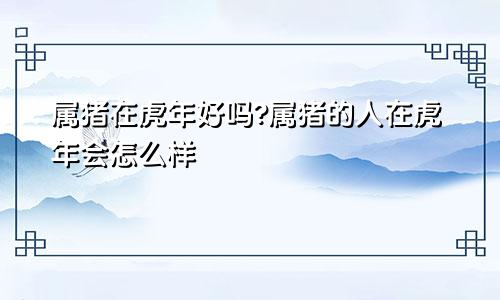 属猪在虎年好吗?属猪的人在虎年会怎么样