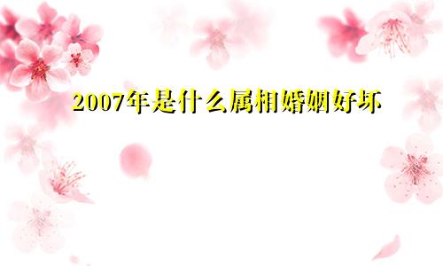 2007年是什么属相婚姻好坏