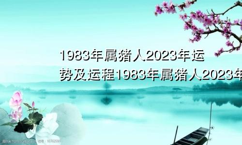 1983年属猪人2023年运势及运程1983年属猪人2023年运势女