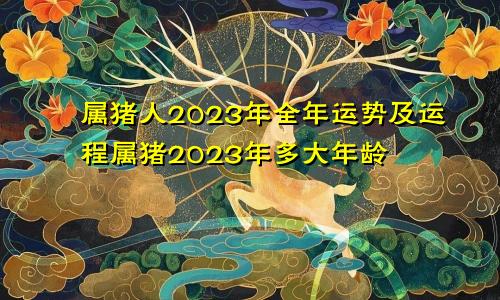 属猪人2023年全年运势及运程属猪2023年多大年龄