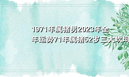 1971年属猪男2023年全年运势71年属猪52岁三大坎坷