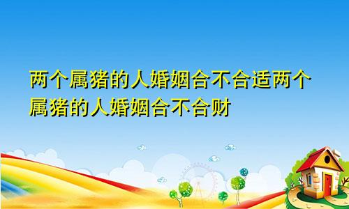 两个属猪的人婚姻合不合适两个属猪的人婚姻合不合财