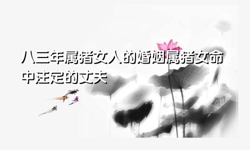 八三年属猪女人的婚姻属猪女命中注定的丈夫